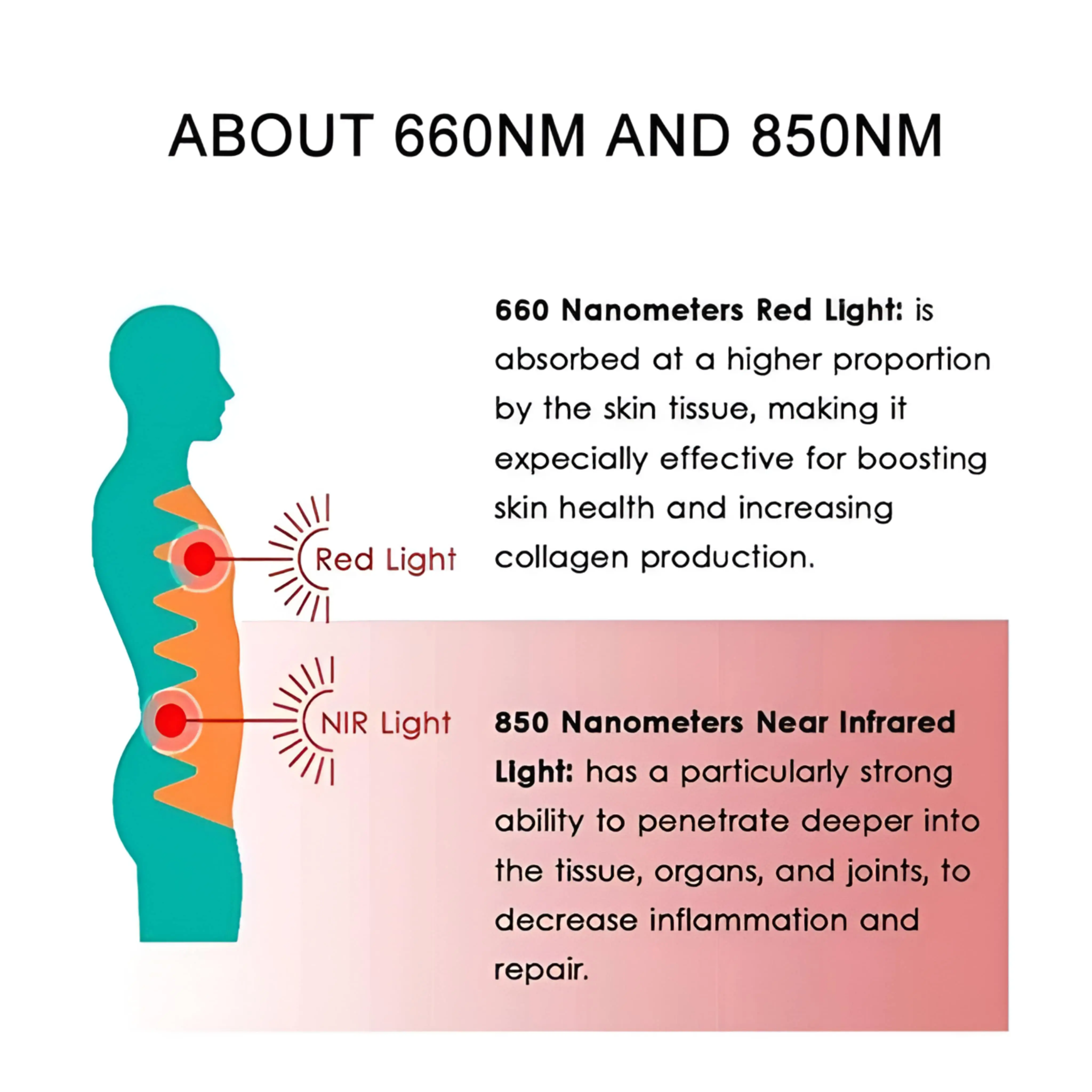 Red Light Therapy Mat with 960 LED Light - Image 6
